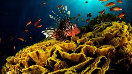 Ivan Lu - Underwater World (original Mix)
