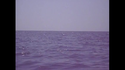 Делфини край Камен Бряг 2