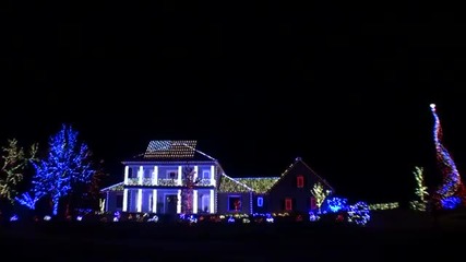 Истинската коледна украса