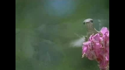 Enigma - Push The Limits