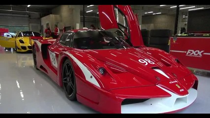 Ferrari Fxx Evoluzione