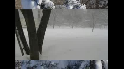 Tonika - Zima