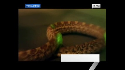 freesol ft.justin timberlake - fascinated