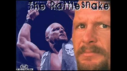 Wwe Stone Cold