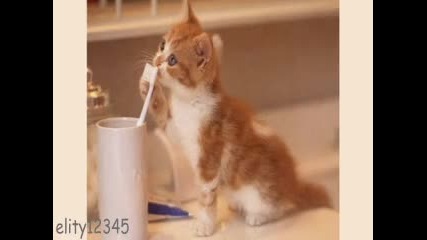 ,,игра 1,,