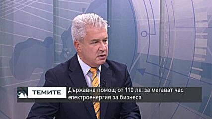 Бизнесът: В момента ситуацията с цената на тока е или да се снишим, или вятърът да те пречупи