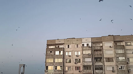Vid_20200627_211246