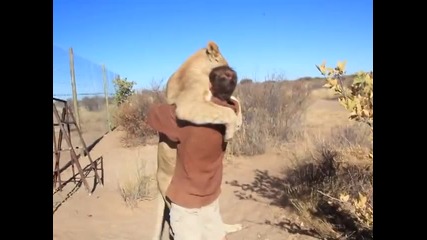 Каква обич между човек и животно! Лъвица прегръща стопанина си