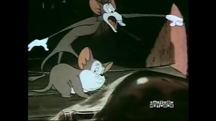 Warner Bros - 101946 The Mouse - Merized Cat Mm Br Cn Censored 