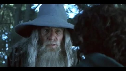 Enigma Silence Must Be Heard