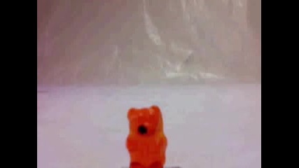 Gummi Bear - Песента С Желирани Мечета