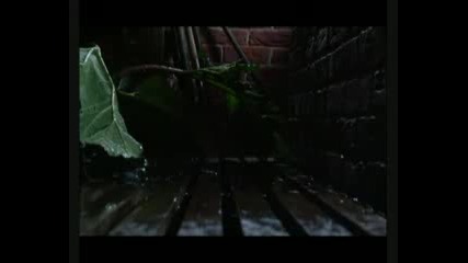 The Worst Witch - S02e12 - - Part 2 