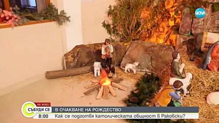 Видео - (2023-12-23 08:15:16)