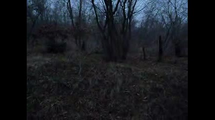 Ловно Куче - Гонене на Заек (vip)