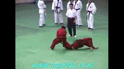 Hapkido - Демонстрация