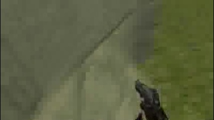 zyllee rapes bkz wallblock