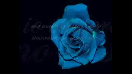 Michele Zarillo - Една синя роза (превод) 