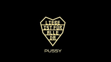 Rammstein - Pussy (liebe Ist F Alle Da 2009)