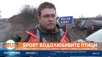 Броят водолюбивите птици: Мониторингът обхваща Европа, Северна Африка и Близкия Изток