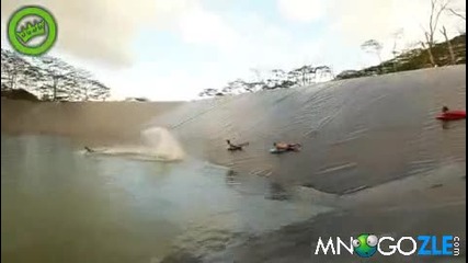 Гигантска водна парзалка