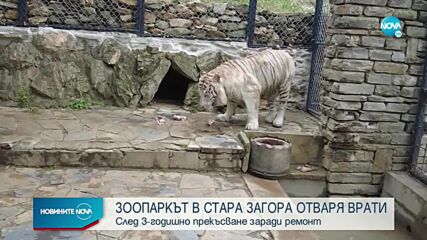 След 3-годишно прекъсване: Зоопаркът в Стара Загора отваря врати