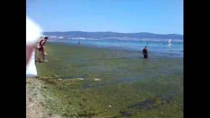 Cacao Beach 2012 - клоаката на българското черноморие
