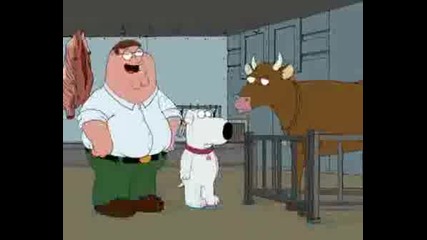 Family Guy Season 6 Episode 8 (mcstroke)