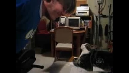 Смях с котки! 
