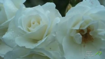 Ernesto Cortazar - Just For You