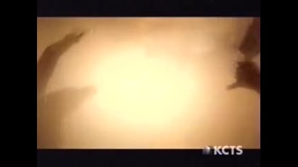 Secrets of the dead - Amazon warrior women (2003)