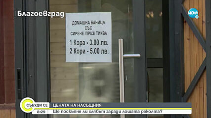 С колко се е увеличила цената на хляба?