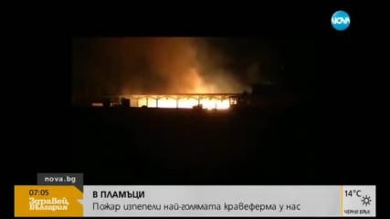 Продължава да гори най-голямата кравеферма у нас