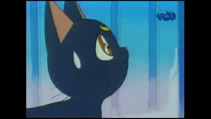 Sailor Moon