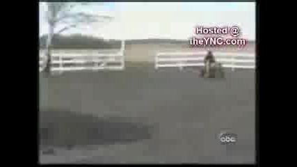 Просто няма такива идиоти ! 