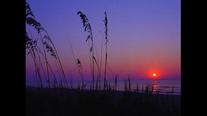 Meditation & Wellness Music (rasa)