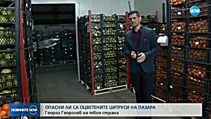 Новините на NOVA (27.11.2017 - следобедна емисия)