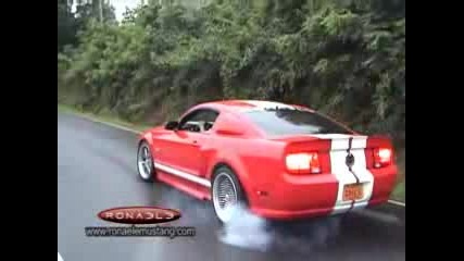 Ronaele Mustang Better Than Shelby Gt 500
