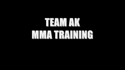 Mma Training