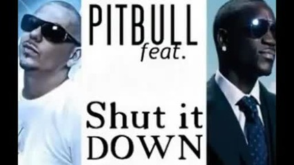 Pitbull feat. Akon - Mr. Right Now