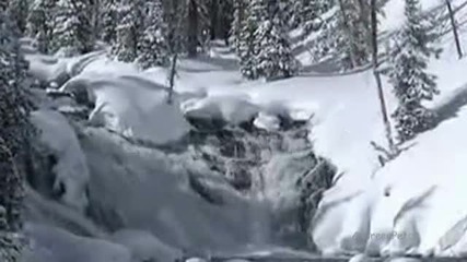 Winter Wonderland 