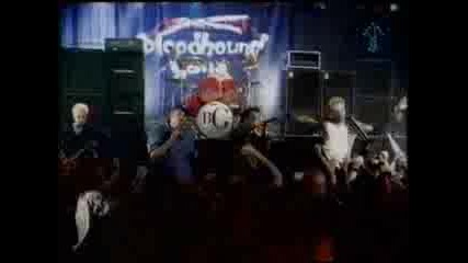 Bloodhound Gang - Mope