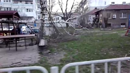 Паднало дърво в столичния квартал "Толстой"