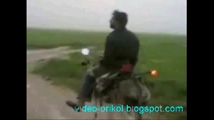 тунинг на коли