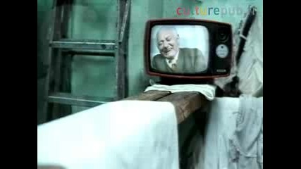 MTV-Навсякъде с теб