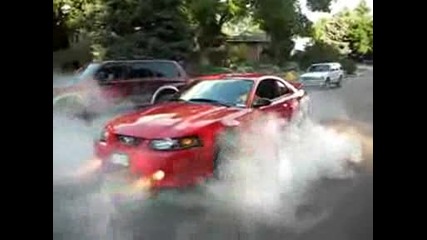 roush 360r mustang gt burnout.