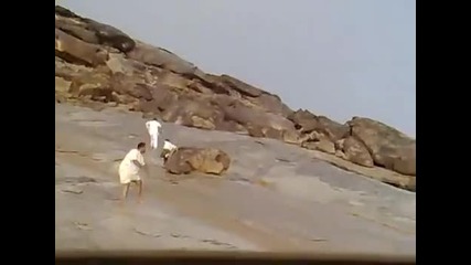 Тези дали не спекоха