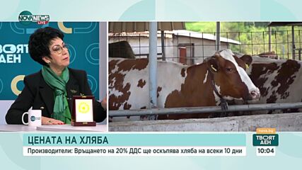 Кукушева: Ако върнат 20% ДДС на хляба, браншът ще мине в сивия сектор