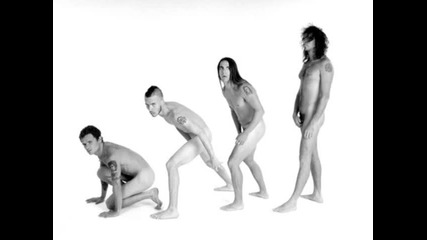 Red Hot Chili Peppers What It Is (aka Nina's Song) [demo Version]