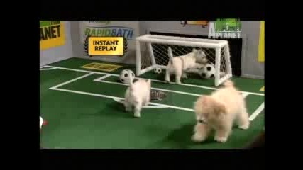 Puppy Games 2008 - Soccer