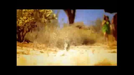 Tuned In The Broken West , Jolie Holland , Herman Dune